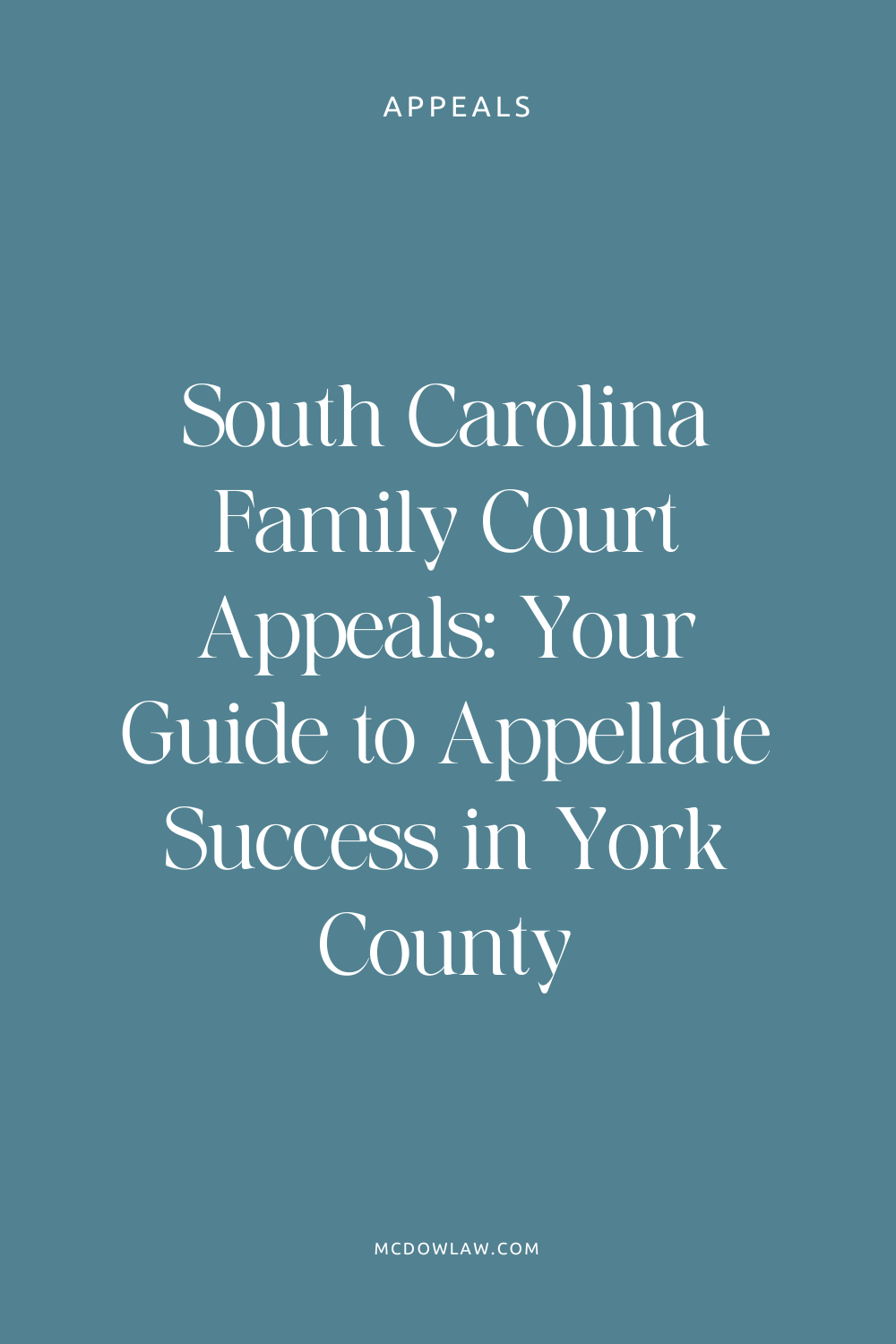 Family court sc court of appeals